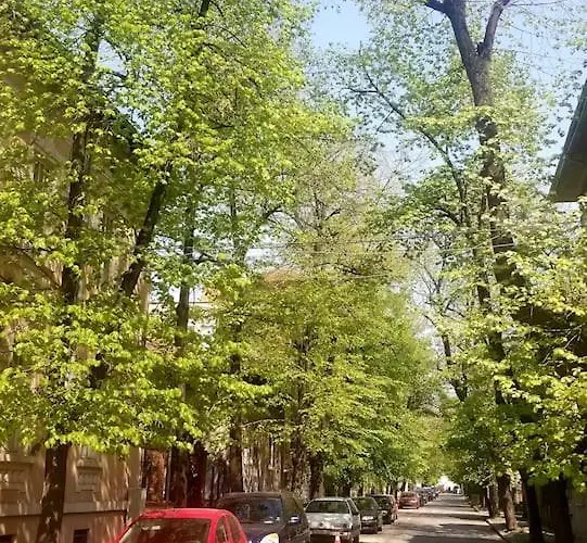 Center 2 Bedroom Apartment, Free Parking Apartment